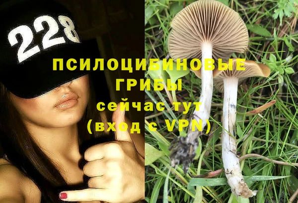 PSILOCYBIN Протвино